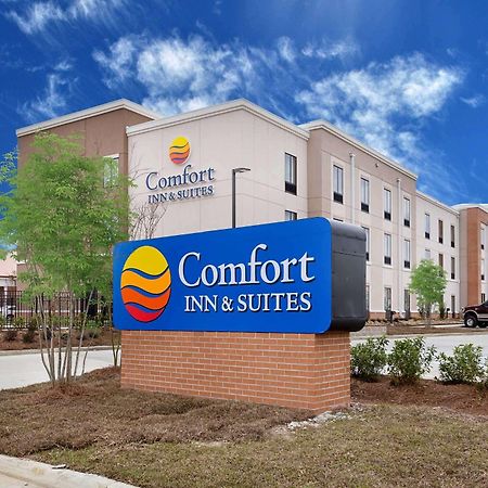 Comfort Inn & Suites Zachary Kültér fotó