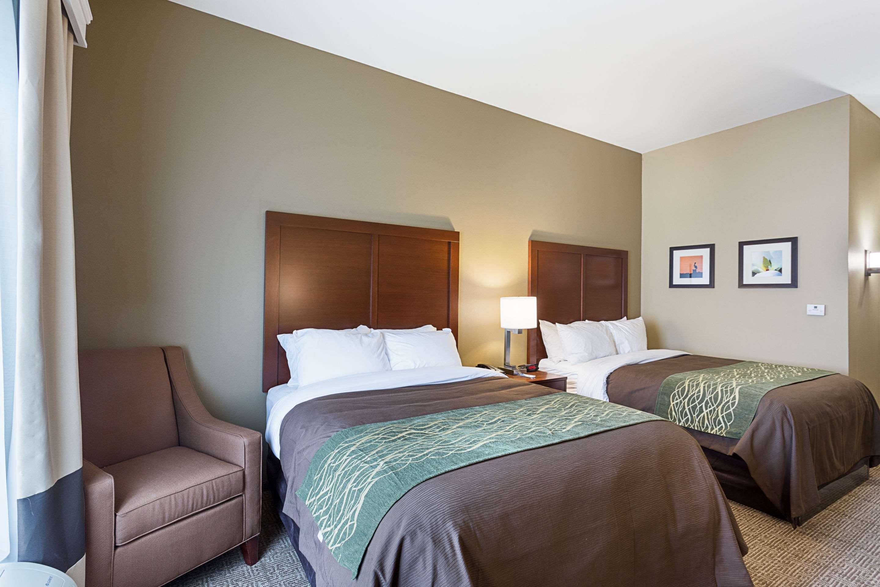 Comfort Inn & Suites Zachary Kültér fotó